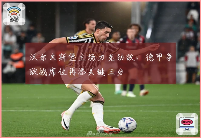 沃尔夫斯堡主场力克劲敌，德甲争欧战席位再添关键三分