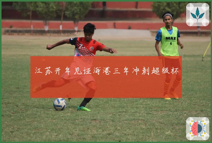江苏开年见证海港三年冲刺超级杯